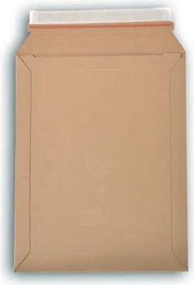 Image de Lot de 5 enveloppes carton wellbox 3 format 238x316 mm