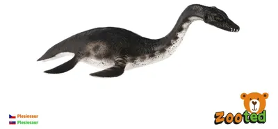 Obrázek produktu pro Plesiosaur dinosaurus zooted plast 23cm