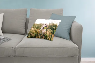 Produktbild von MuchoWow® Zierkissen Sofakissen Wohnzimmer Dekokissen 60x40 cm Labrador Retriever spielt mit einem Tennisball im Gras - Kopfkissen - Polster mit Foto