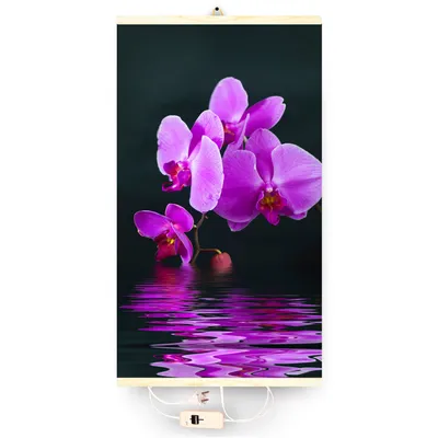 Produktbild von Infrarotheizung Thermostat Bildheizung Heizpaneel Infrarot Heizkörper 430W Elektro Heizung mit Motiv Orchidee
