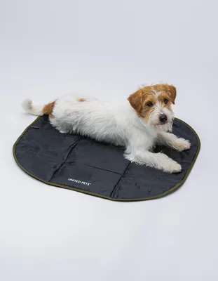 Zdjęcie produktu dla United Pets Lazy Dog Mat, Pies, Czarny, Zielony, Monochromatyczny, Prostokątny, Poliester, Włochy