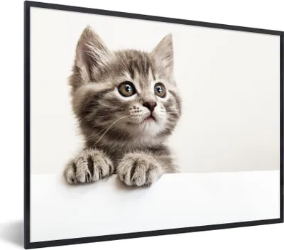 Produktbild von MuchoWow® Gerahmtes Poster Katze - Grau - Tiere 80x60 cm - Poster mit Schwarzem Bilderrahmen Wandposter Rahmen Foto Bilder - Schwarzem - Mit Gestell