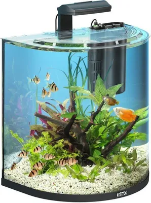 Obrázok produktu pre Akváriová súprava AquaArt Explorer 50 x 32 x 50 cm 60 l