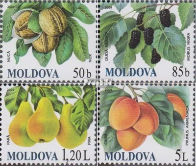 Produktbild von Briefmarken Moldawien 2009 Mi 669-672 (kompl.Ausg.) postfrisch Früchte