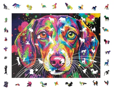 Produktbild von Bunter Dackel Holzpuzzle (2D)
