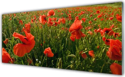 Imagen del producto de Impresiones en acrílico para pared, tamaño 125x50 cm, con motivos de amapolas y naturaleza