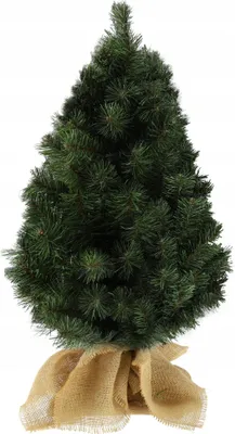 Image de Sapin de Noël artificiel - Modèle de table - 80 cm - Petit - Socle en jute - Sans éclairage - Décoratif - Vert