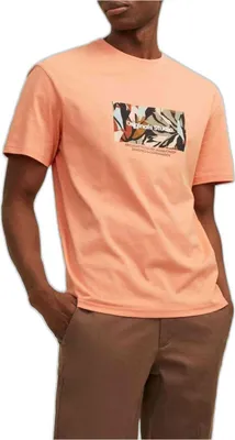 Produktbild von T-Shirt Jack&Jones 12256717-CANYONSUNSET für Herren