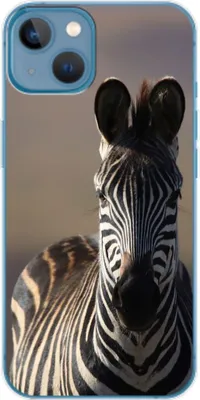 Produktbild von König Design Hülle kompatibel mit Apple iPhone 14 Plus Kunststoff Soft Handyhülle - Handy Case Zebra