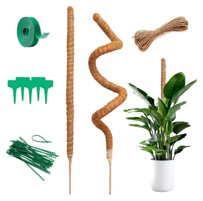 Produktbild von 2 Stück Monstera Rankhilfe 120 cm Kokosstab für Kletterpflanzen im Innenbereich
