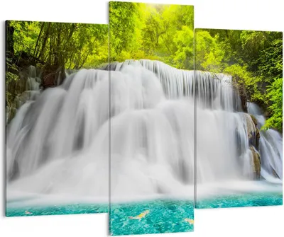 Produktbild von Bild auf Leinwand - Leinwandbild - Park natur landschaft - 130x100cm - Wand Bild - Wanddeko - Leinwanddruck - Bilder - Kunstdruck - Wanddekoration - Leinwand bilder - Wandkunst - CB130x100-2511