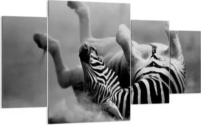 Produktbild von Bild auf Leinwand - Leinwandbild - Zebra Streifen Tier wild - 160x90cm - Wand Bild - Wanddeko - Leinwanddruck - Bilder - Kunstdruck - Wanddekoration - Leinwand bilder - Wandkunst - DL160x90-2699