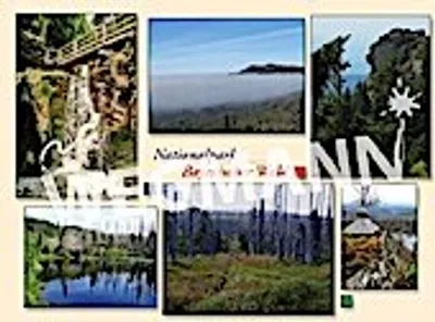 Produktbild von Postkarte und Ansichtskarte Nr. 10 - 50er Set