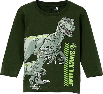 Produktbild von Sweatshirt Name It 13219778-GREEN für Kinder