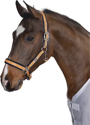 Produktbild von Eskadron Halfter mit Dornschnalle " Classic Sports " Größe - Warmblut Farbe - papaya-white-brown