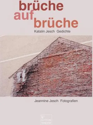 Immagine prodotto di brüche - aufbrüche