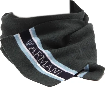 Imagen del producto de 5283T - Bufanda para bebé, marca ARMANI BABY, confeccionada en lana/cachemira, color verde. Ideal para niño