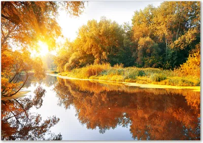 Produktbild von Tulup® Leinwandbild - 100x70 cm - Wandkunst - Drucke auf Leinwand - Leinwanddruck  - Landschaften - Orange - Fluss im Herbst