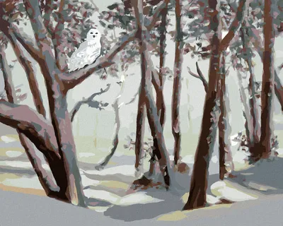 Produktbild von Zuty - Malen nach Zahlen - SCHNEEEULE UND WALD IM WINTER (D. RUSTY RUST), 40x50 cm, ohne Keilrahmen