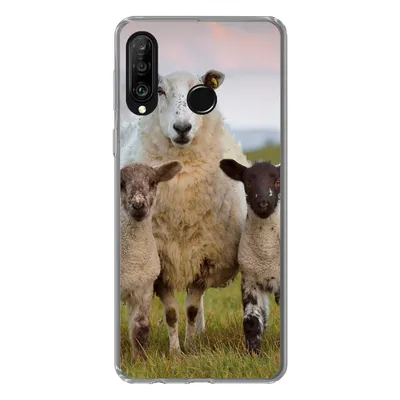 Produktbild von MuchoWow® Handyhülle Schutzhülle Hülle für Huawei P30 Lite Schafe - Natur - Schwarz - Weiß Silikon Softcase Handy Hülle - Handyhülle