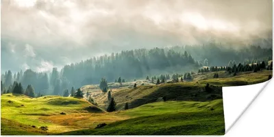 Produktbild von MuchoWow® Poster Alpen - Wald - Bäume 150x75 cm - ohne Rahmen