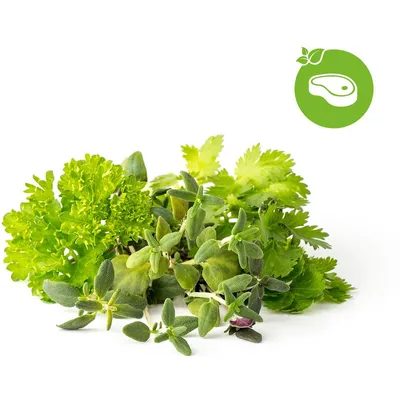 Immagine prodotto di Click & Grow Click & Grow Plant Pod Steak Mix 9pcs