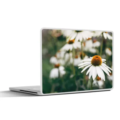 Produktbild von MuchoWow® Laptop Aufkleber Sticker Cover Blumen - Herbst - Botanisch 30x21 cm - Sticker für Laptop - Selbstklebend