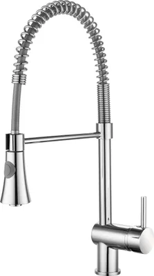 A kitchen faucet with a pull-down sprayer and a coiled hose, shown against a white background.