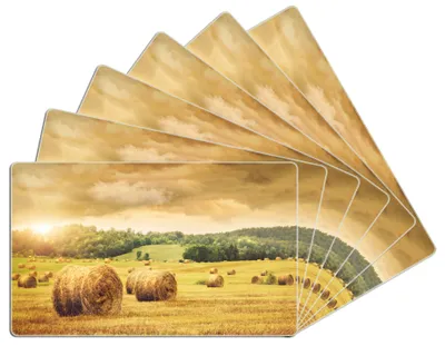 Produktbild von Wallario Frühstücksbrettchen 6er Set aus Glas, je 14 x 23 cm, mit rutschfesten Füßen, Motiv Strohballen auf dem Feld bei Sonnenuntergang