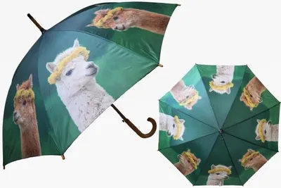 Produktbild von 1 Regenschirm Alpakas, Automatikschirm Stockschirm Schirm Schirme Alpaka Lama Tier