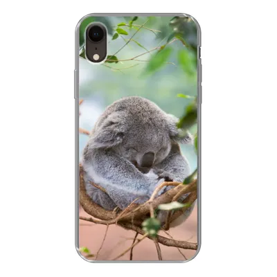 Produktbild von MuchoWow® Handyhülle Schutzhülle Hülle für iPhone XR Koala - Zweige - Kinder - Jungen - Mädchen Silikon Softcase Handy Hülle - Schutzdeckel