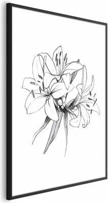 Produktbild von Posterpapier Poster - Drawn Flowers 29.7x42 cm Blumen b-A-0404-ao-a