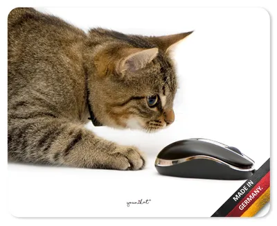 Produktbild von younikat Mauspad Katzen I 24 x 19 cm I Mousepad in Standard-Größe rutschfest I für Mädchen Teenager Frauen I Katze Maus I dv397