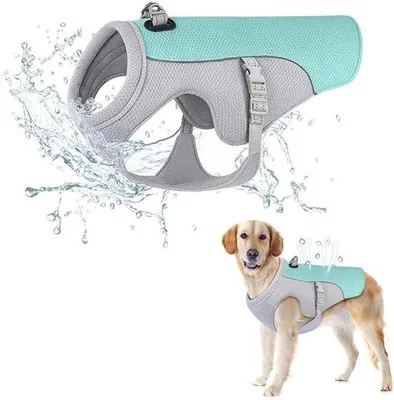 Produktbild von Kühlweste für Hunde, atmungsaktives Material, hitzeableitend, ideal für Spaziergänge, Camping und Jagdtraining.