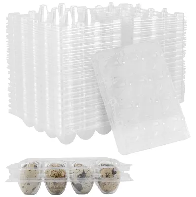 Wachteleierboxen aus Kunststoff, 60 Stück, transparent, 12er-Pack