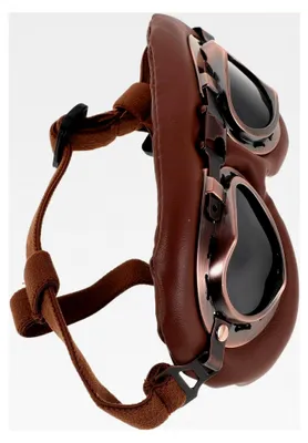 Produktbild von Faltbare Hundebrille mit Verstellbarem Band für Wind- und Sonnenschutz bei Kleinen und Mittelgroßen Hunden