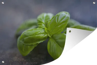 Produktbild von MuchoWow®