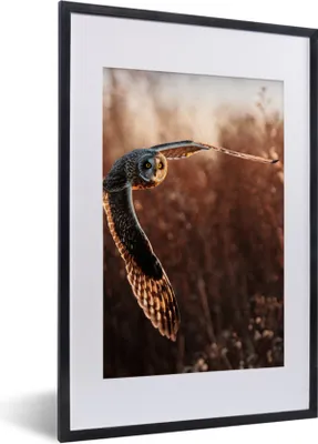 Produktbild von MuchoWow® Gerahmtes Poster Vogel - Eule - Sonnenuntergang - Natur 40x60 cm - Poster mit Schwarzem Bilderrahmen Wandposter Rahmen Foto Bilder - Poster in Rahmen