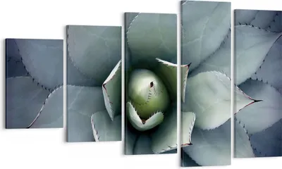 Produktbild von Bild auf Leinwand - Leinwandbild - 5 Teile - Blau Blätter Agave - 100x60cm - Wand Bild - Wanddeko - Wandbilder - Leinwanddruck - Bilder - Wanddekoration - Leinwand bilder - Wandbild - EG100x60-5133