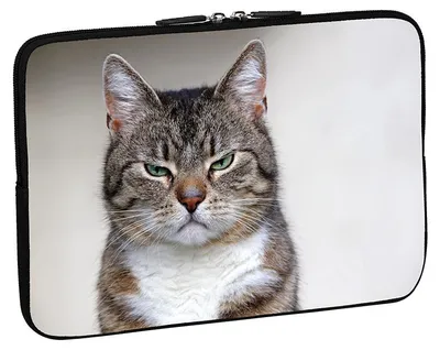 Produktbild von PEDEA Design Schutzhülle Notebook Tasche bis 17,3 Zoll (43,9 cm), Cat