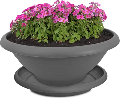 Image de Bac à plantes avec soucoupe pour l'extérieur 35 cm Pot de fleurs gris