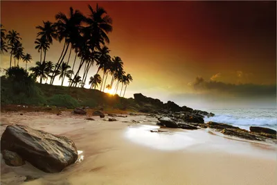 Produktbild von Wallario Premium Vliestapete Fototapete Sri Lanka - Palmenstrand mit Sonnenuntergang in der Größe 400 x 267 cm, extra dick, wird in 5 Teilen geliefert