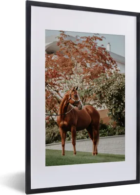 Produktbild von MuchoWow® MuchoWow® Gerahmtes Poster Pferd - Baum - Halfter 40x60 cm - Poster mit zchwarzem Bilderrahmen - Poster in Rahmen