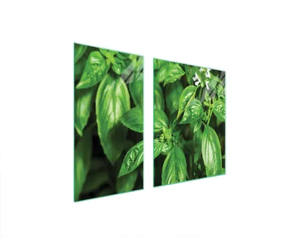 Produktbild von Glasschutzplatte Für Herd 90X52 Basil