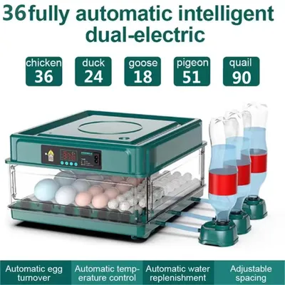Produktbild von Brutautomat - Eierinkubator für 36 Eier - Automatische Wendung - Digitale Temperaturregelung - EU Stecker