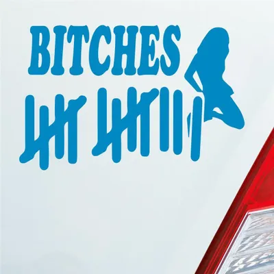 Produktbild von Auto Aufkleber Strichliste Bitches Tally List Frau PKW 15x9 cm Hellblau Sticker Heckscheibenaufkleber