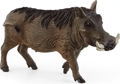 Produktbild von Schleich 14843 Wild Life Warzenschwein