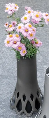 Image de Vase funéraire "Roseta" 1606911524 Roseta1,3 Anth.