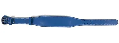 Obrázek produktu pro Modrý tréninkový pás, nastavitelný tréninkový pás – 140 cm