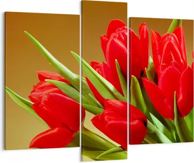 Produktbild von Bild auf Leinwand - Leinwandbild - Tulpen Blumen Feld Plantage - 95x80cm - Wand Bild - Wanddeko - Leinwanddruck - Bilder - Kunstdruck - Wanddekoration - Leinwand bilder - Wandkunst - CB95x80-0962